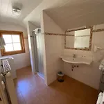 Apartment Reithabhof Schladming