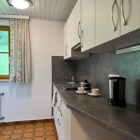 Apartamento Reithabhof Schladming