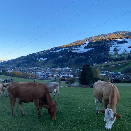 Reithabhof